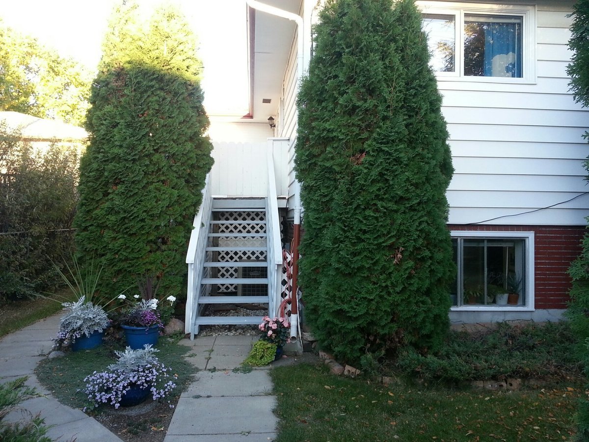 906 Argyle Avenue - Photo 6