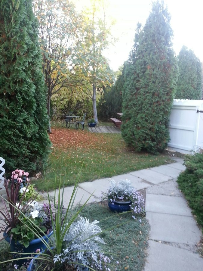 906 Argyle Avenue - Photo 7