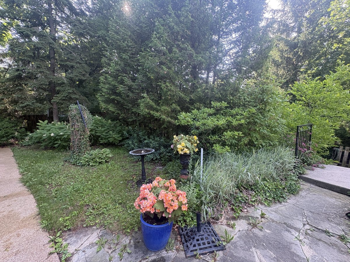 20 Markham Road - Photo 16