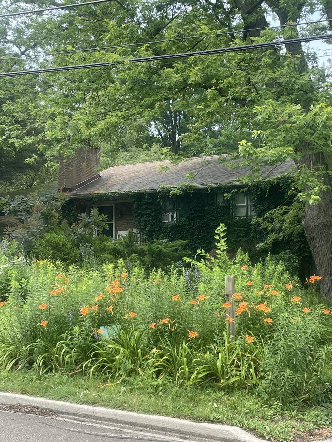 20 Markham Road - Photo 1