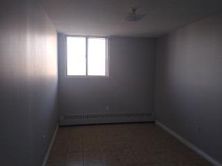 100 Dundalk Drive - Photo 4