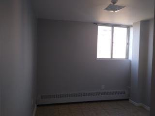100 Dundalk Drive - Photo 5