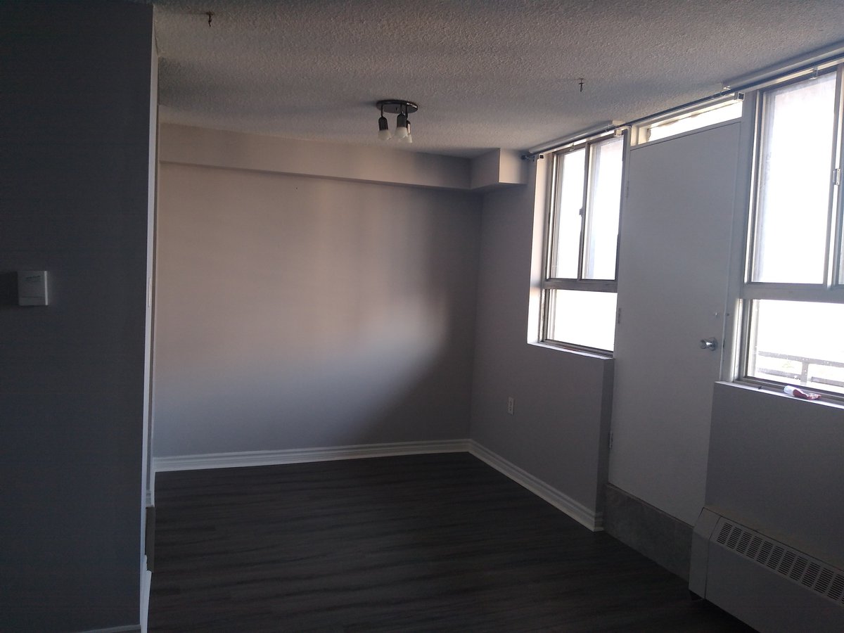 100 Dundalk Drive - Photo 8