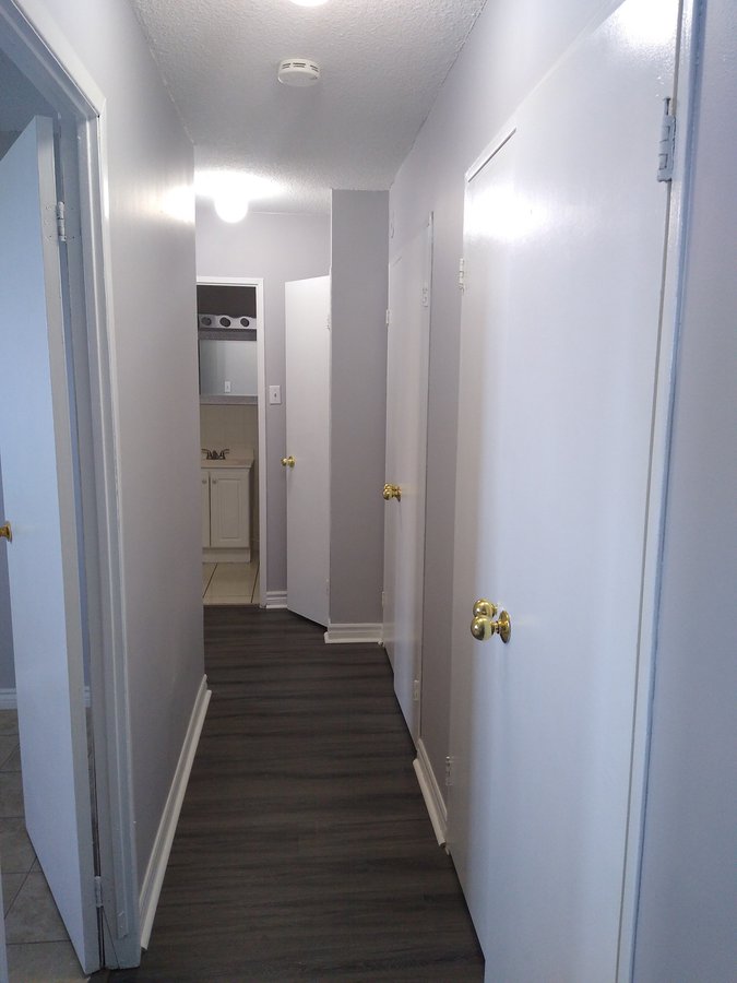 100 Dundalk Drive - Photo 12