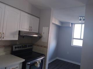 100 Dundalk Drive - Photo 11