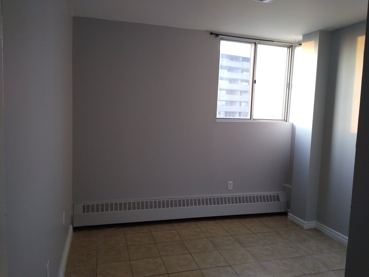 100 Dundalk Drive - Photo 10