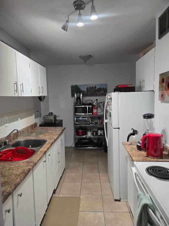 Birchmount Road - Photo 5
