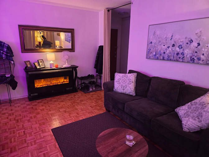 Birchmount Road - Photo 7