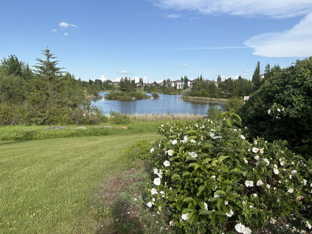 35 Newgate Way - Photo 18