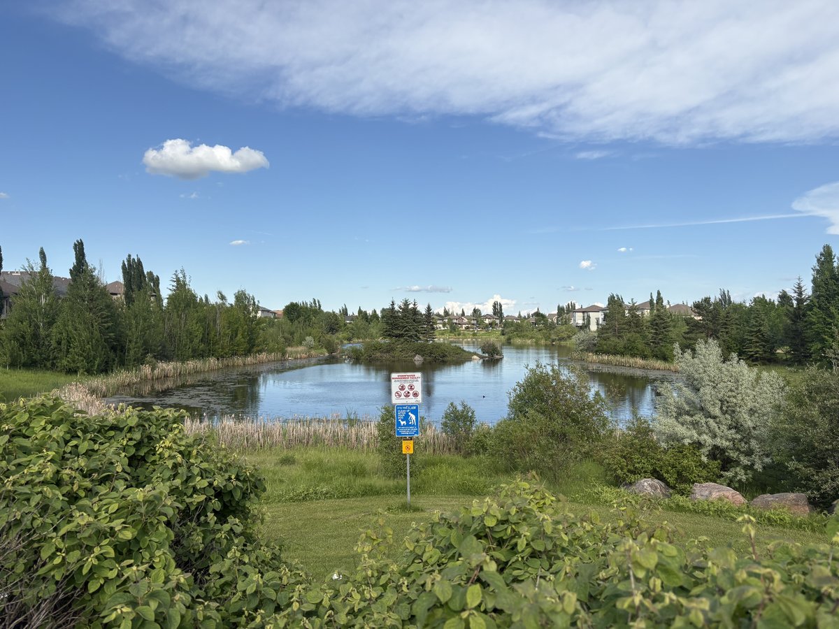 35 Newgate Way - Photo 19