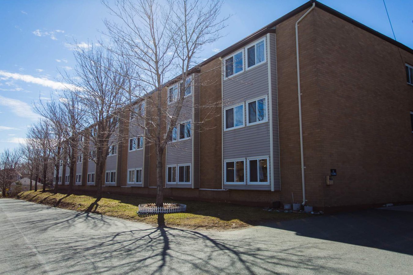 St. John's NL Apartments for Rent
