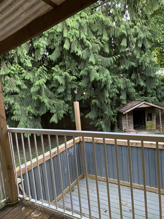 16598 84A Avenue - Photo 5