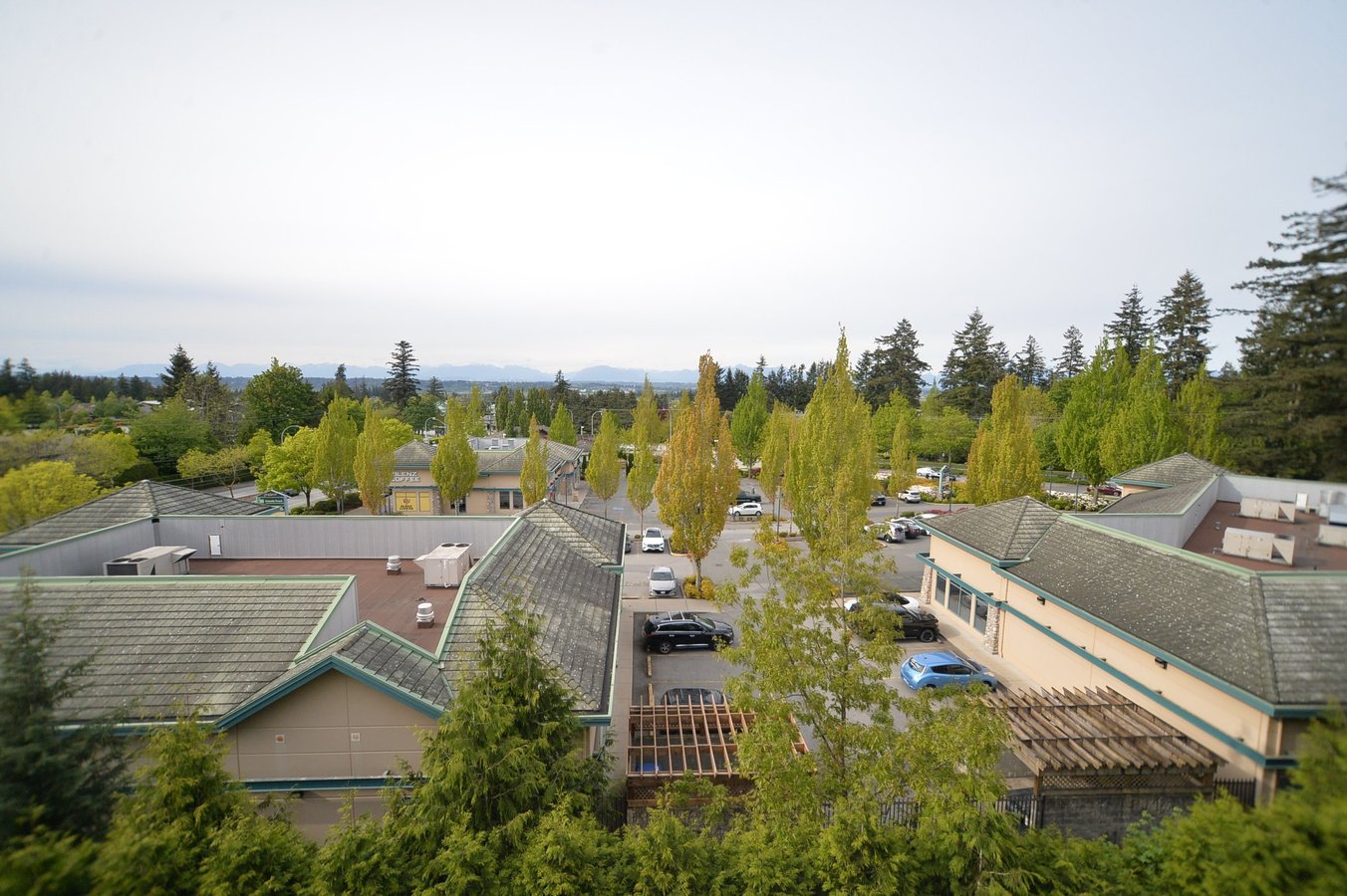 2620 152 Street - Photo 29