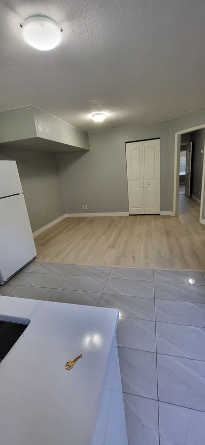 12210 102A Avenue - Photo 7