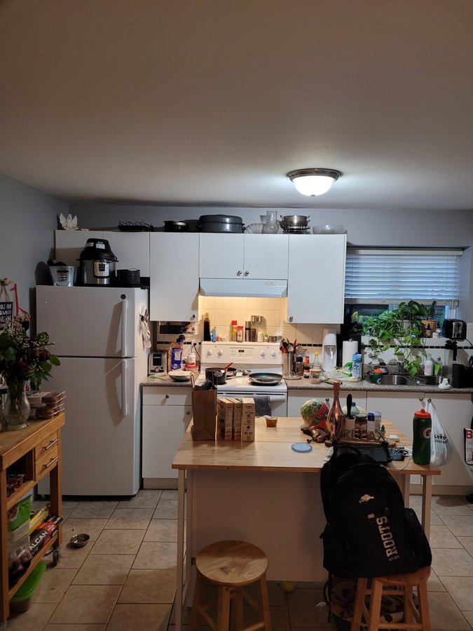 Vancouver Bc Basement Apartments For Rent