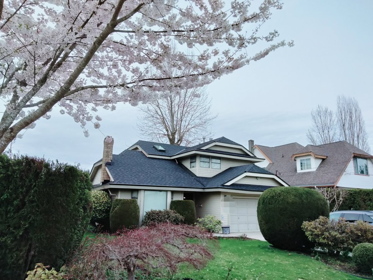 Rentals.ca Fleetwood Surrey Apartments, Condos and Houses For Rent