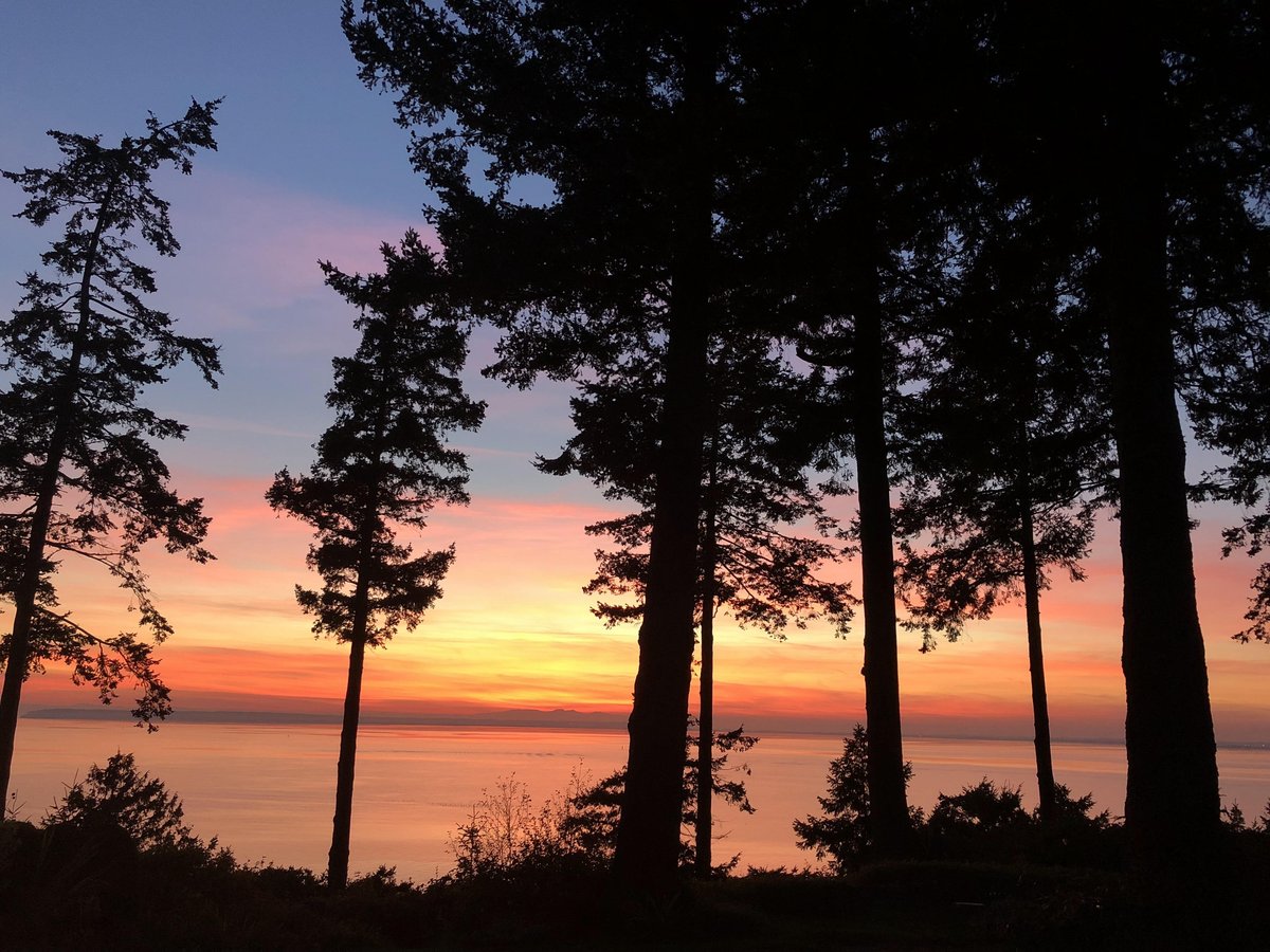 Rentals.ca South Surrey Surrey Apartments, Condos and Houses For Rent