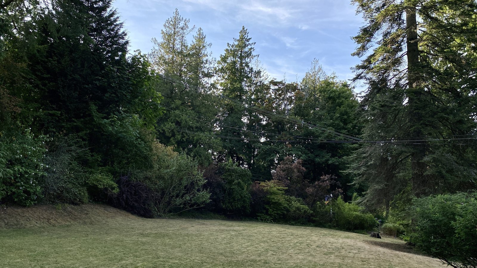 Crescent Road - Photo 11