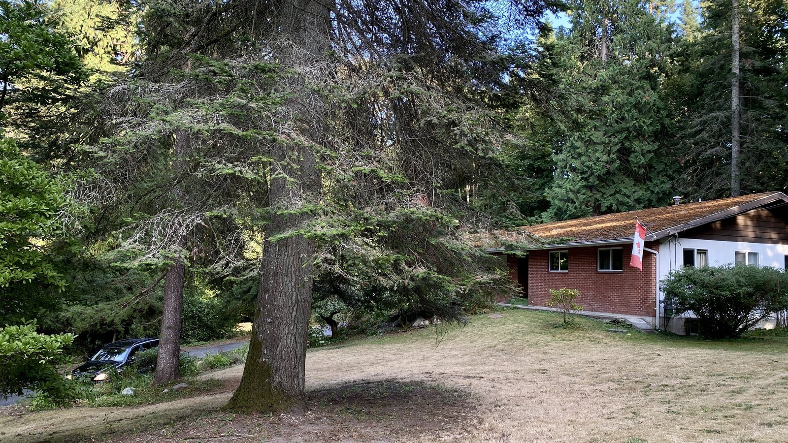 Crescent Road - Photo 3