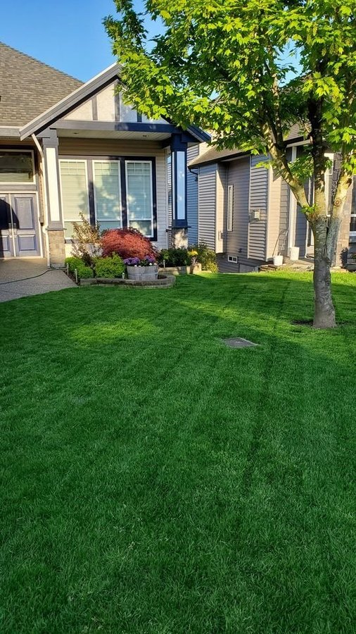 Surrey BC Basement Apartments for Rent