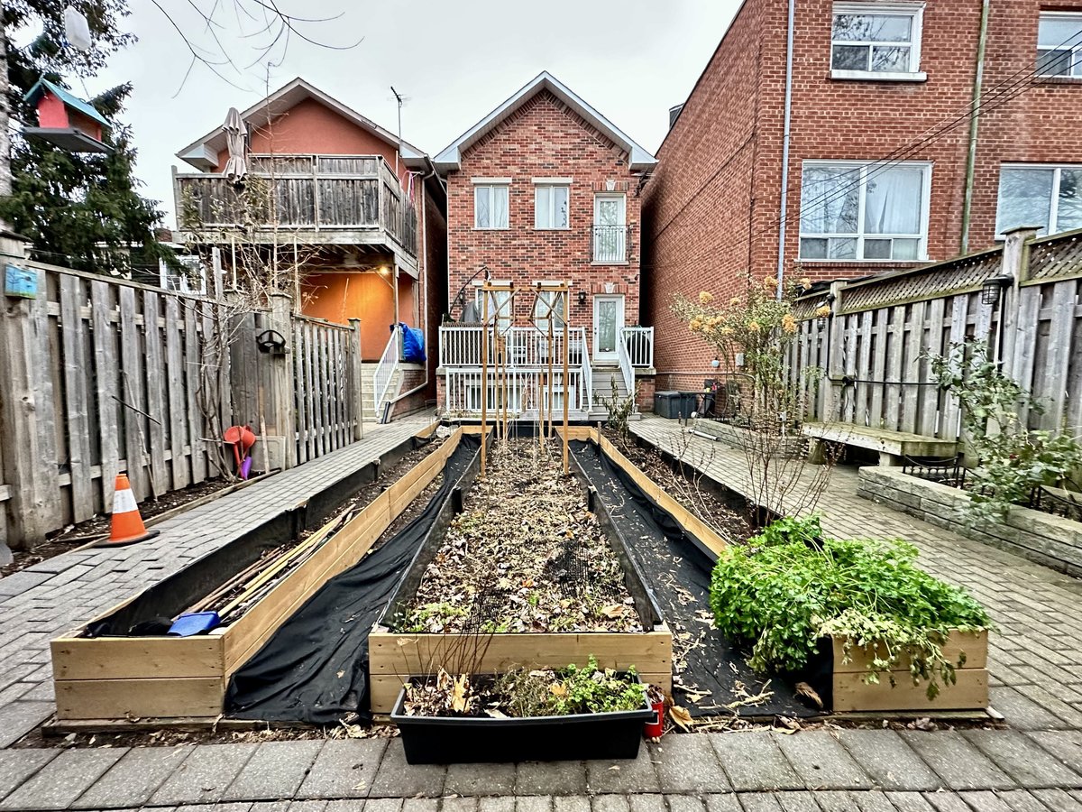 36 Coxwell Avenue - Photo 26