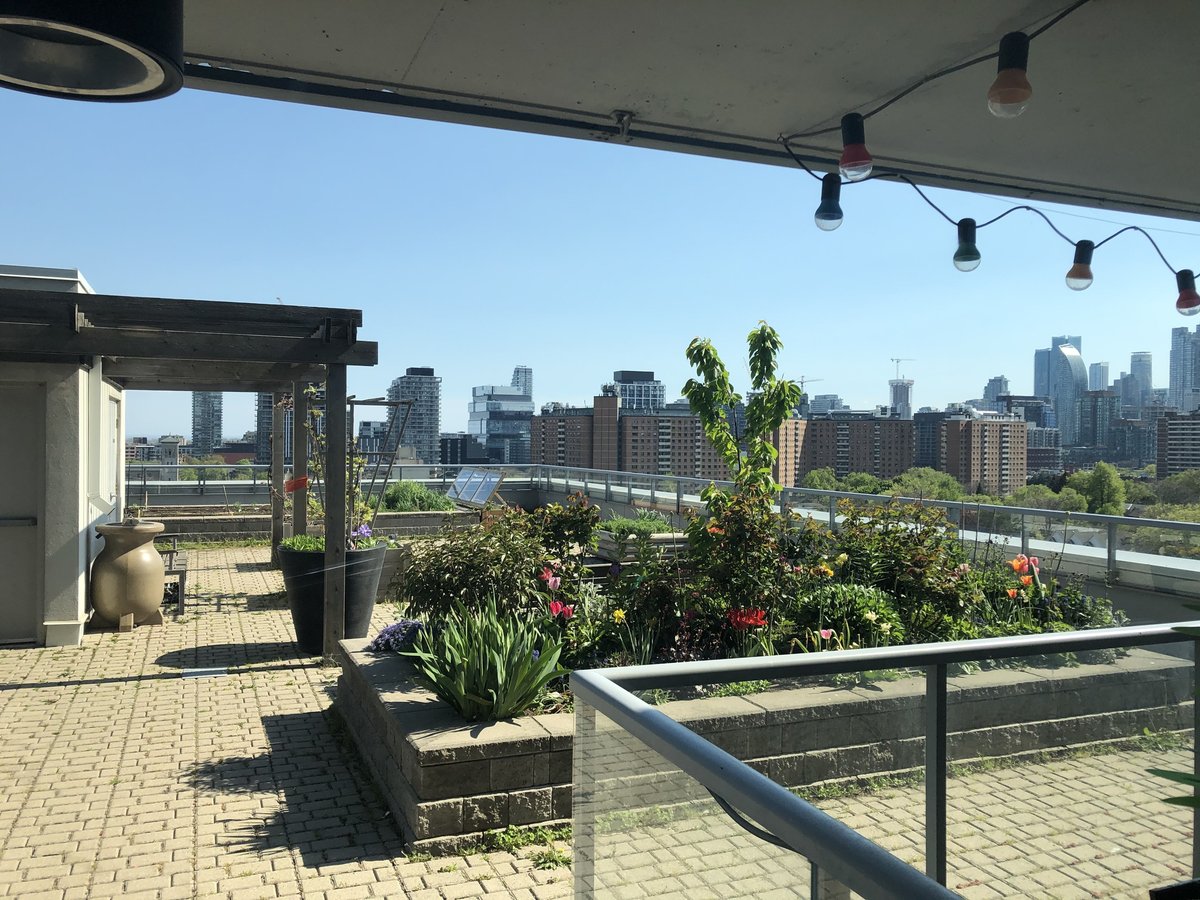 25 Cole Street - Photo 9