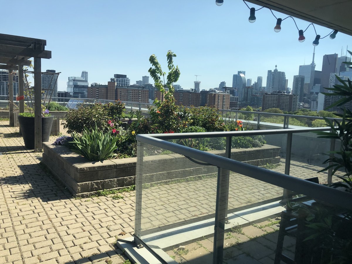 25 Cole Street - Photo 11
