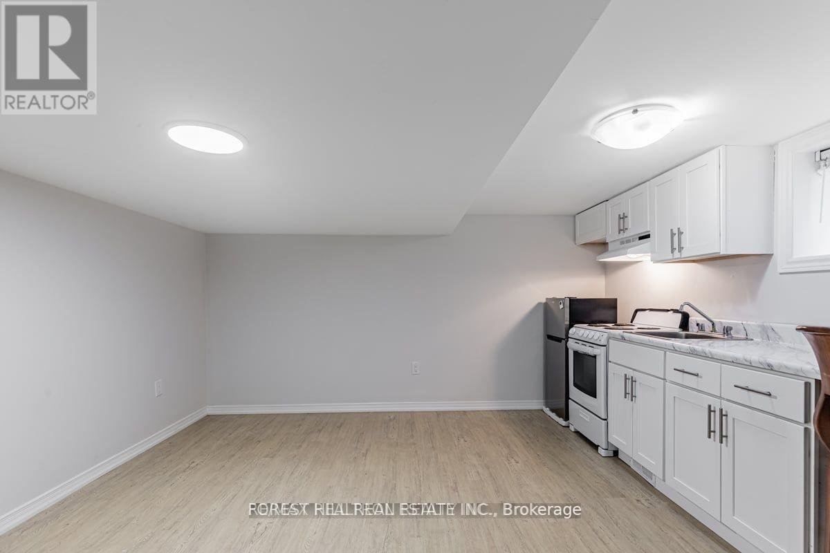 BSMT - 41 FAIRHOLME AVENUE - Photo 5