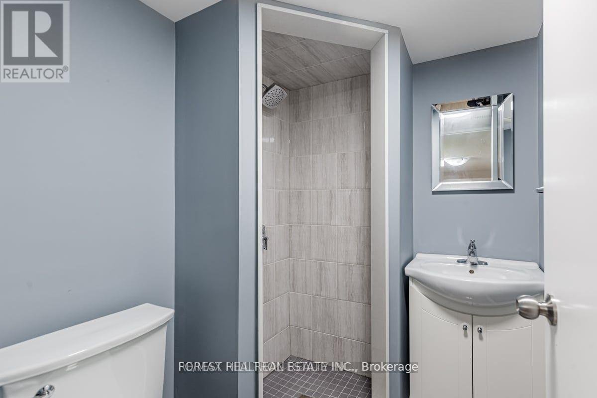 BSMT - 41 FAIRHOLME AVENUE - Photo 12