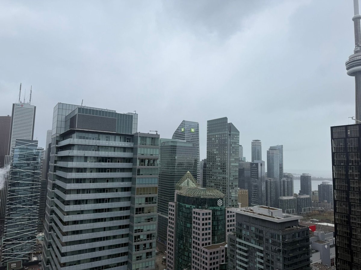 8 Widmer Street - Photo 8