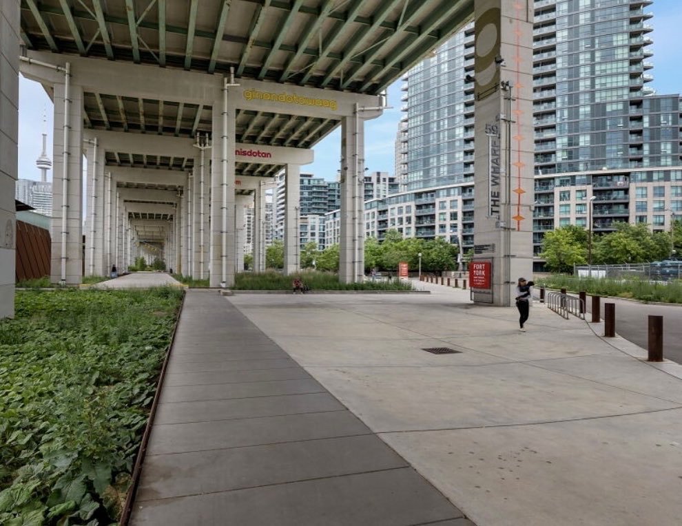 50 Ordnance Street - Photo 10