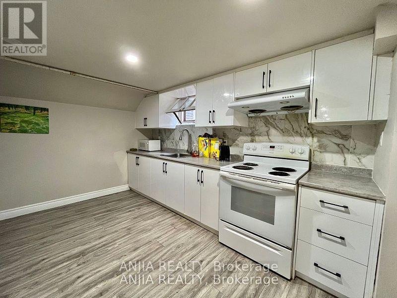 298 EMPRESS BASEMENT AVENUE - Photo 2
