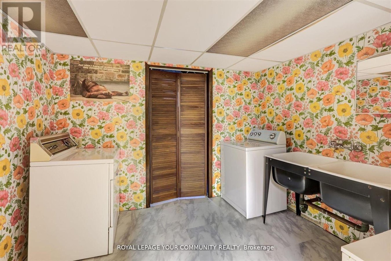 (LOWER) - 19 PEACHAM CRES CRESCENT - Photo 13