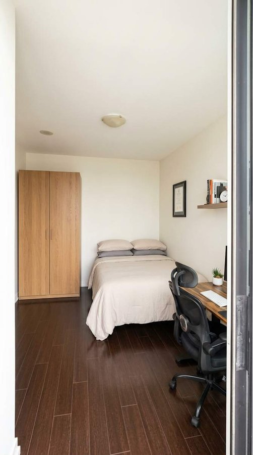 Telegram Mews - Photo 2