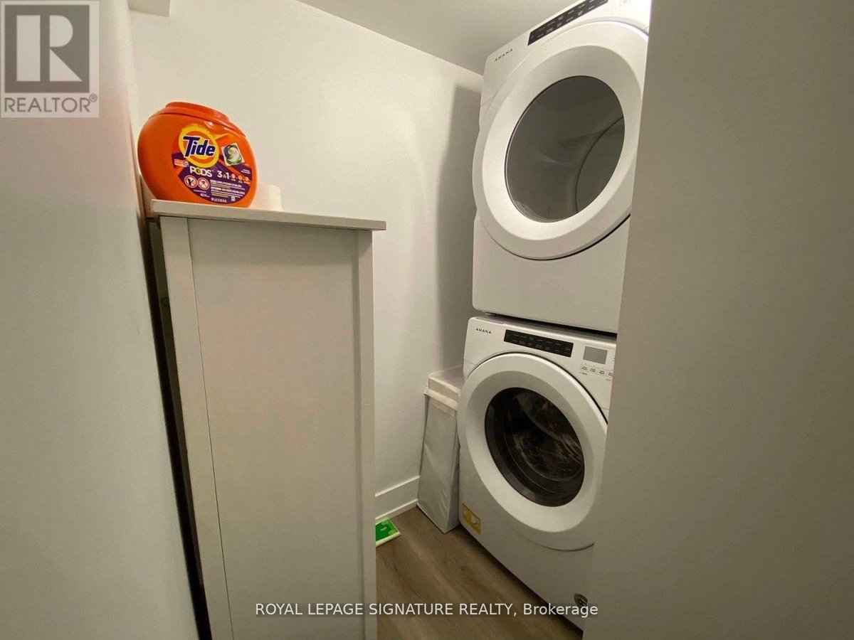 LOWER - 17 CLAREMONT STREET - Photo 7