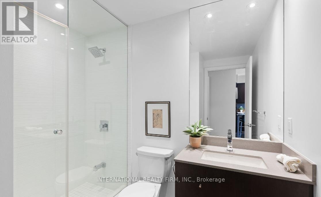 LPH35 - 525 ADELAIDE STREET W - Photo 21
