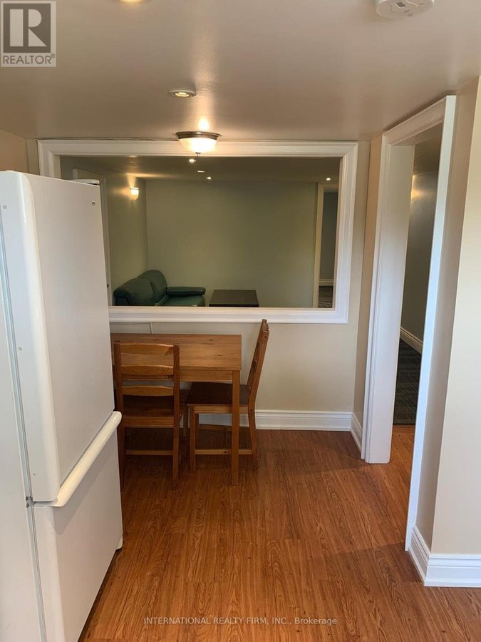 LOWER LEVEL - 94 GOULDING AVENUE W - Photo 4