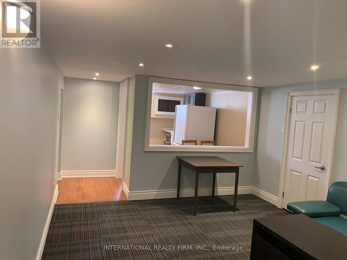 LOWER LEVEL - 94 GOULDING AVENUE W - Photo 5