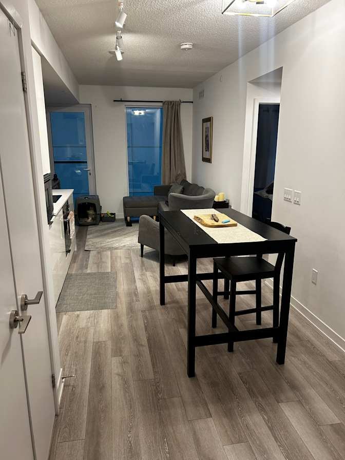 Simcoe Street - Photo 8
