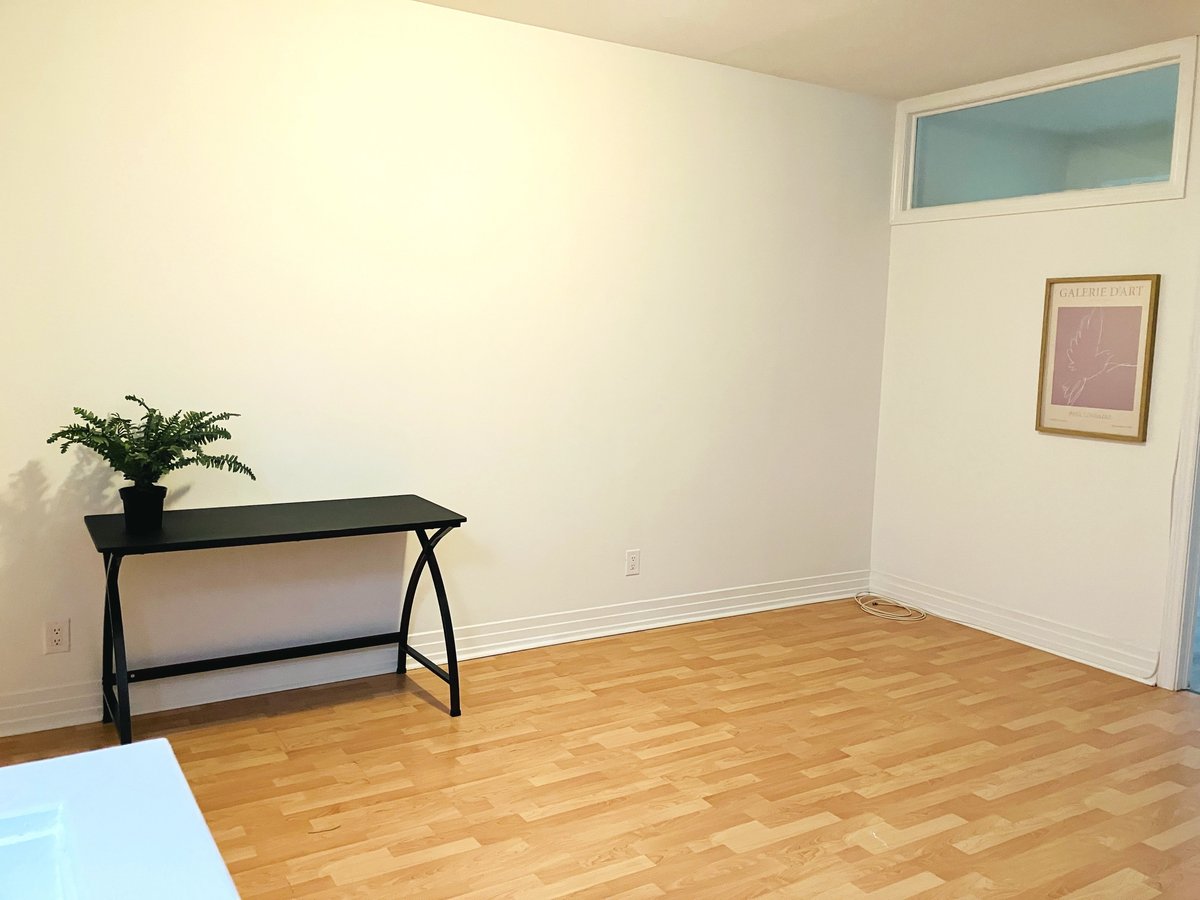 394 Bloor Street West - Photo 11