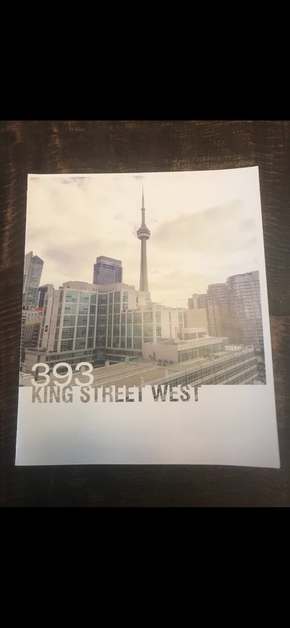 393 King Street West - Photo 1