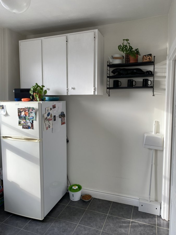 Laughton Avenue - Photo 10