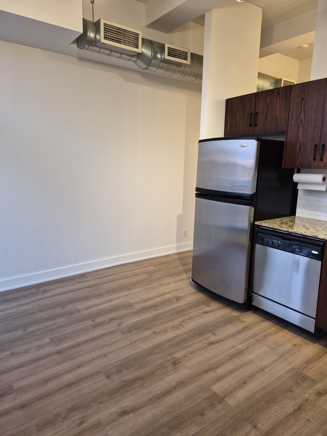 233 Carlaw Avenue - Photo 3