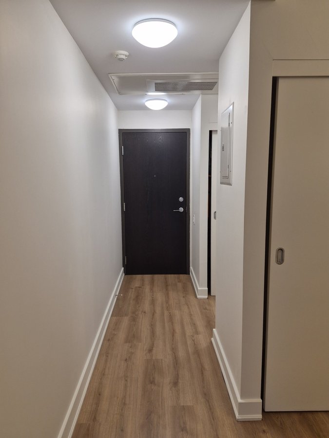 233 Carlaw Avenue - Photo 7