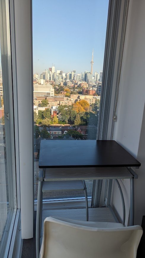 36 Lisgar Street - Photo 9