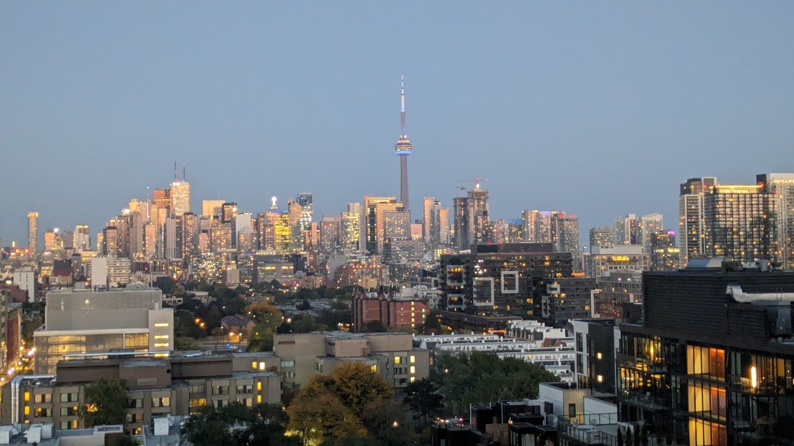 36 Lisgar Street - Photo 10