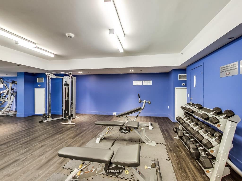36 Lisgar Street - Photo 15