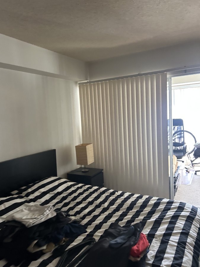 456 College Street - Photo 5