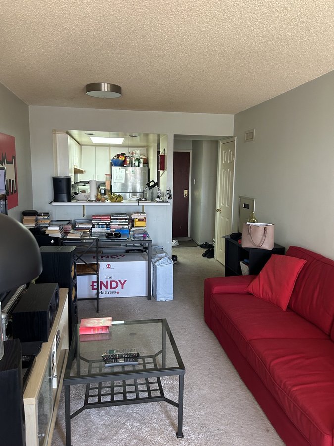 456 College Street - Photo 6