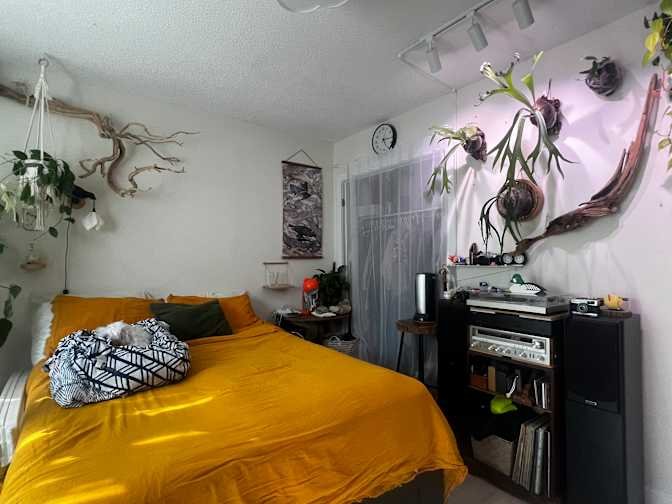 Brandon Avenue - Photo 2